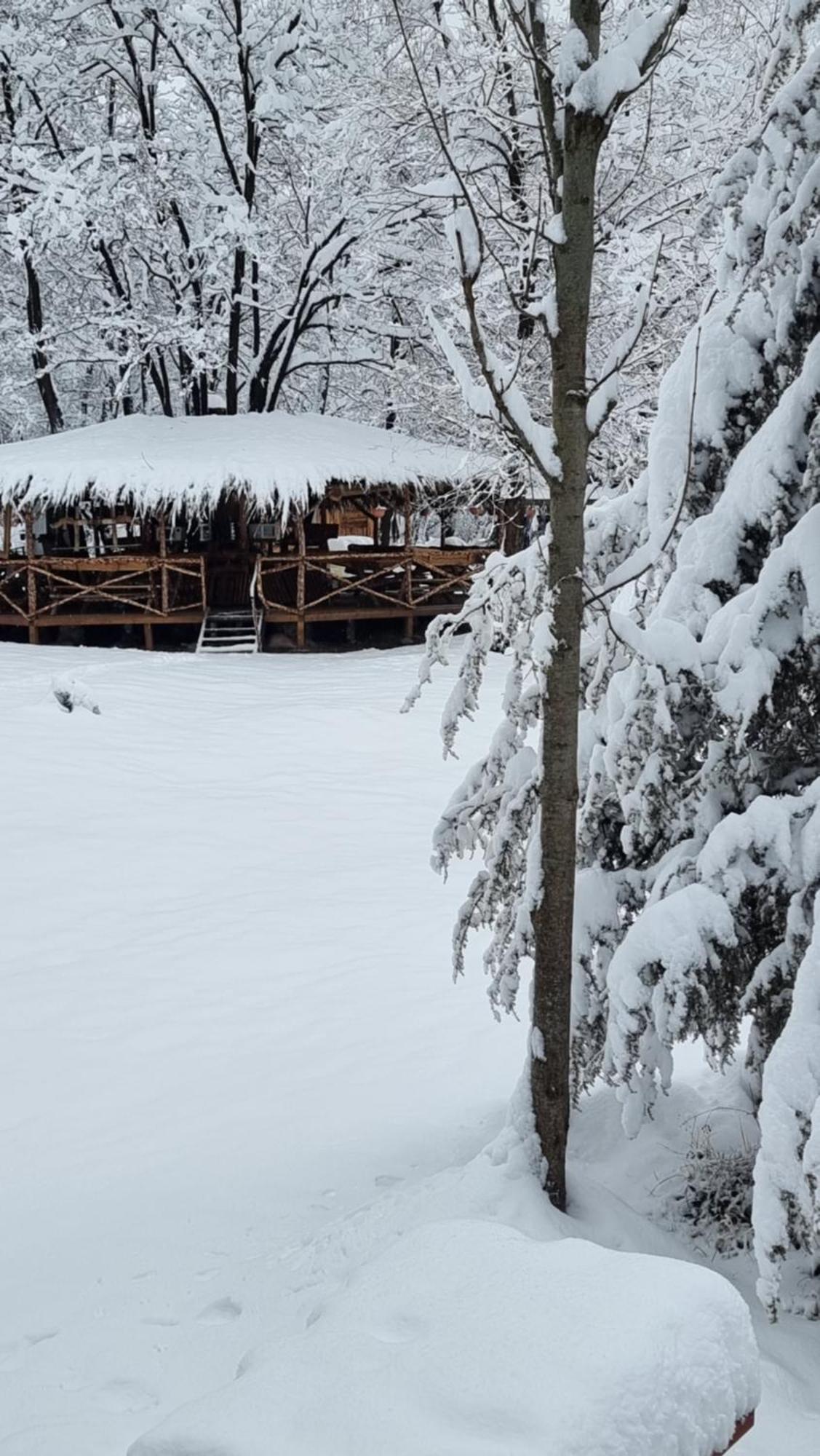 Viewtopia The Secret Land Valea Draganului Exterior photo